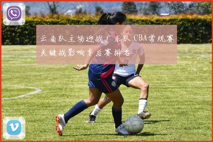 云南队主场迎战广东队 CBA常规赛关键战影响季后赛排名