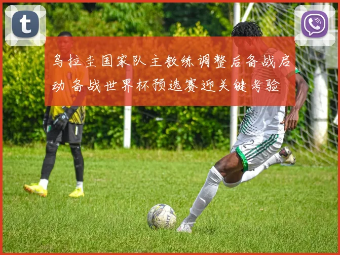 乌拉圭国家队主教练调整后备战启动 备战世界杯预选赛迎关键考验